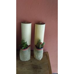 Tronco Toquinhos Suporte Orquídea , suculenta - 3