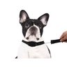 Coleira Guia Retrátil Cachorro Cães Passeio Pets - L/XL - 1
