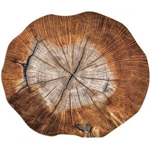 Kit de Jogo Americano Tronco de Árvore 6uni.