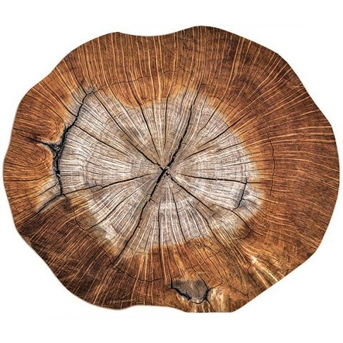 Kit de Jogo Americano Tronco de Árvore 6uni.