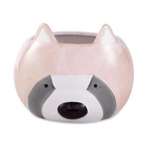 Cachepot Guaxinim em Cerâmica G