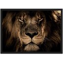 Ver imagem 1 de Quadro Decorativo Leão Animais Salas Quartos Decorações Com Moldura G05