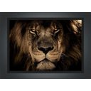 Ver imagem 2 de Quadro Decorativo Leão Animais Salas Quartos Decorações Com Moldura G05