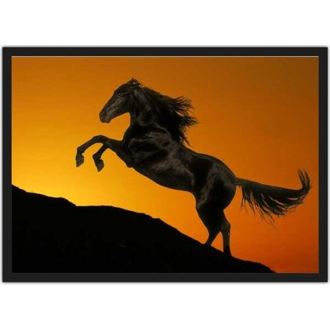 Quadro Decorativo Cavalo Animais Salas Quartos Decorações Com Moldura G01