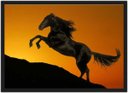 Ver imagem 1 de Quadro Decorativo Cavalo Animais Salas Quartos Decorações Com Moldura G01