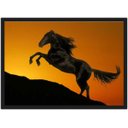 Ver imagem 1 de Quadro Decorativo Cavalo Animais Salas Quartos Decorações Com Moldura G01