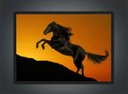 Ver imagem 3 de Quadro Decorativo Cavalo Animais Salas Quartos Decorações Com Moldura G01