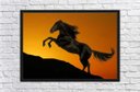 Ver imagem 4 de Quadro Decorativo Cavalo Animais Salas Quartos Decorações Com Moldura G01
