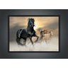 Quadro Decorativo Cavalo Animais Salas Quartos Decorações Com Moldura G02 - 4