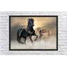 Quadro Decorativo Cavalo Animais Salas Quartos Decorações Com Moldura G02 - 3