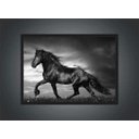 Ver imagem 3 de Quadro Decorativo Cavalo Animais Salas Quartos Decorações Com Moldura G03