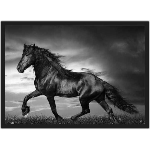 Quadro Decorativo Cavalo Animais Salas Quartos Decorações Com Moldura G03