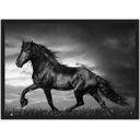 Ver imagem 1 de Quadro Decorativo Cavalo Animais Salas Quartos Decorações Com Moldura G03
