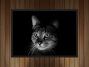 Ver imagem 3 de Quadro Decorativo Gato Animais Pet Shop Salas Quartos Decorações Com Moldura G03