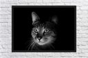 Ver imagem 2 de Quadro Decorativo Gato Animais Pet Shop Salas Quartos Decorações Com Moldura G03