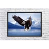 Quadro Decorativo Águia Ave Animais Salas Quartos Decorações Com Moldura G01 - 4
