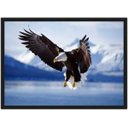 Ver imagem 1 de Quadro Decorativo Águia Ave Animais Salas Quartos Decorações Com Moldura G01