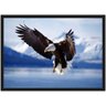 Quadro Decorativo Águia Ave Animais Salas Quartos Decorações Com Moldura G01 - 1