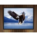 Ver imagem 2 de Quadro Decorativo Águia Ave Animais Salas Quartos Decorações Com Moldura G01