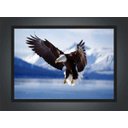 Ver imagem 3 de Quadro Decorativo Águia Ave Animais Salas Quartos Decorações Com Moldura G01