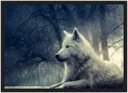 Ver imagem 1 de Quadro Decorativo Lobo Branco Animais Salas Quartos Decorações Com Moldura