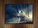 Ver imagem 3 de Quadro Decorativo Lobo Branco Animais Salas Quartos Decorações Com Moldura