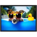 Ver imagem 1 de Quadro Decorativo Cão De Óculos Pet Shop Animais Salas Quartos Decorações Com Moldura G03