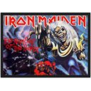 Ver imagem 1 de Quadro Decorativo Iron Maiden Heavy Metal Eddie Rock Salas Quartos Decorações Com Moldura G05