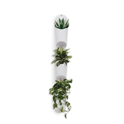 Vaso de Parede Floralink (3 Un.) Branco - Umbra - 3