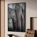 Ver imagem 1 de Quadro Decorativo Família Elefante em Moldura Caixa Tacolado Moldura Trad 1cm Madeira Escura sem Vid