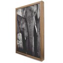 Ver imagem 4 de Quadro Decorativo Família Elefante em Moldura Caixa Tacolado Moldura Trad 1cm Madeira Escura sem Vid