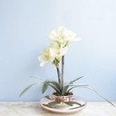 Ver imagem 1 de Arranjo de Flores Artificiais Amarílis Creme no Vaso Rose Gold | Linha Permanente Formosinha