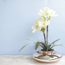 Ver imagem 2 de Arranjo de Flores Artificiais Amarílis Creme no Vaso Rose Gold | Linha Permanente Formosinha