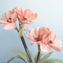 Ver imagem 5 de Arranjo Flores Artificiais Amarílis Rosa no Vaso Bronze