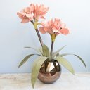 Ver imagem 1 de Arranjo Flores Artificiais Amarílis Rosa no Vaso Bronze