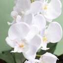 Ver imagem 4 de Arranjo com Três Hastes de Orquídeas Brancas no Vaso Prateado | Linha permanente Formosinha