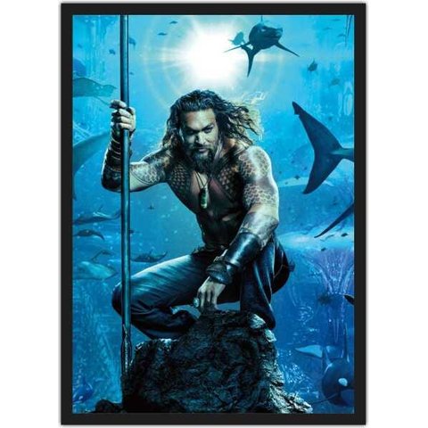 Quadro Decorativo Aquaman Cinema Filmes Geek Salas Quartos Com Moldura G01