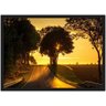 Quadro Decorativo Estrada Sol Paisagem Natureza Com Moldura G20 - 1