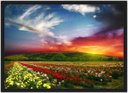 Ver imagem 1 de Quadro Decorativo Jardim Flores Campo Paisagem Natureza Com Moldura