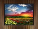 Ver imagem 4 de Quadro Decorativo Jardim Flores Campo Paisagem Natureza Com Moldura