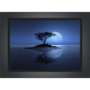 Ver imagem 3 de Quadro Decorativo Árvore Lua Noite Paisagem Natureza Com Moldura G05