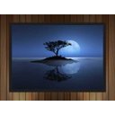 Ver imagem 2 de Quadro Decorativo Árvore Lua Noite Paisagem Natureza Com Moldura G05