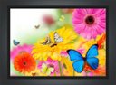 Ver imagem 3 de Quadro Decorativo Flores Borboletas Paisagem Natureza Com Moldura