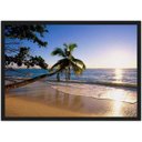 Ver imagem 1 de Quadro Decorativo Praia Mar Sol Coqueiros Paisagem Natureza Com Moldura Decorar