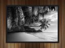 Ver imagem 2 de Quadro Decorativo Coqueiros Mar Preto e Branco Paisagem Natureza Com Moldura G41
