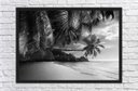 Ver imagem 4 de Quadro Decorativo Coqueiros Mar Preto e Branco Paisagem Natureza Com Moldura G41