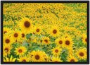 Ver imagem 1 de Quadro Decorativo Flores Girassóis Paisagem Natureza Com Moldura G20
