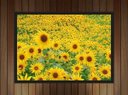 Ver imagem 2 de Quadro Decorativo Flores Girassóis Paisagem Natureza Com Moldura G20