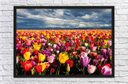 Ver imagem 4 de Quadro Decorativo Flores Tulipa Paisagem Natureza Com Moldura