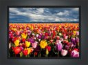 Ver imagem 2 de Quadro Decorativo Flores Tulipa Paisagem Natureza Com Moldura